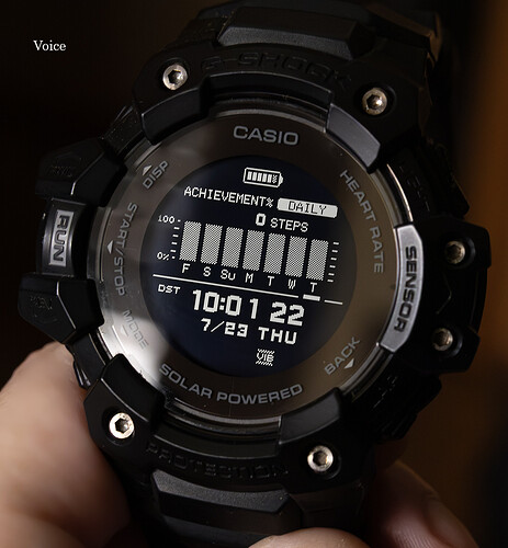 GBD-H1000 GPS. 2