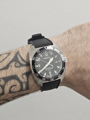 17325383382161365661776958664175