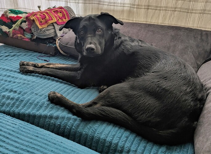 PXL_20241224_121413057