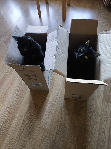 1d6a1ab5-dd57-45ba-bf07-caf1d3e2e269-1_all_5036