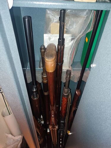 IMG_20241129_075457_716