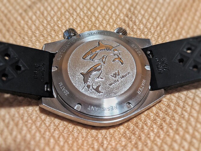 PXL_20251119_172640638