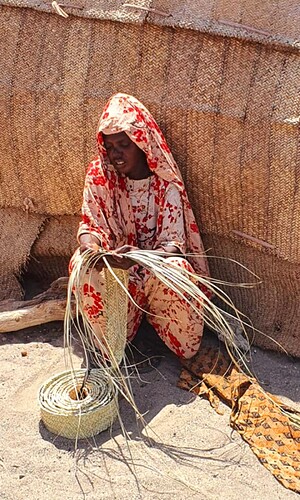 Screenshot_20250930_125951_Photos