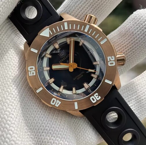 Screenshot_20250520_100343_AliExpress