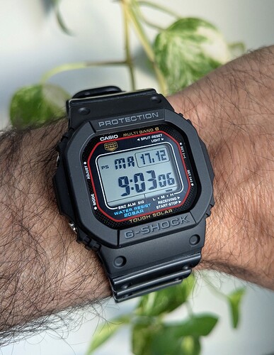 PXL_20241217_080300696~2