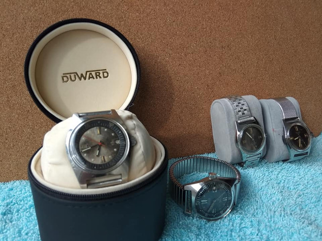 104170245-10217298300189058-8286264547815516631-n