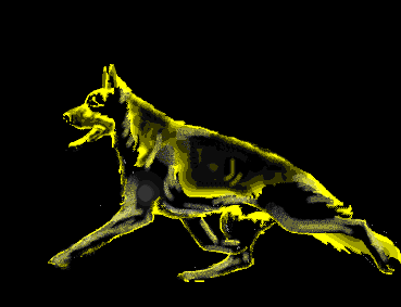 Copia_de_GIF_KUKUTEGI-TXIKI