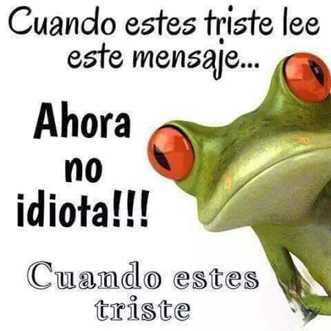FB_IMG_1724004571954