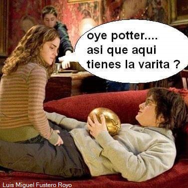 potter y su varita
