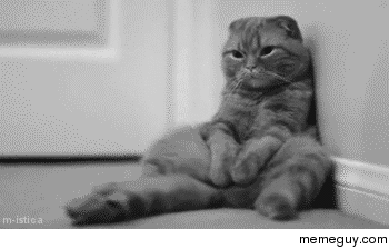 waiting-for-my-package-gif-5