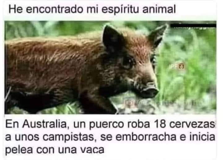 FB_IMG_1724359662009