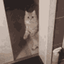 reverse-sliding-door