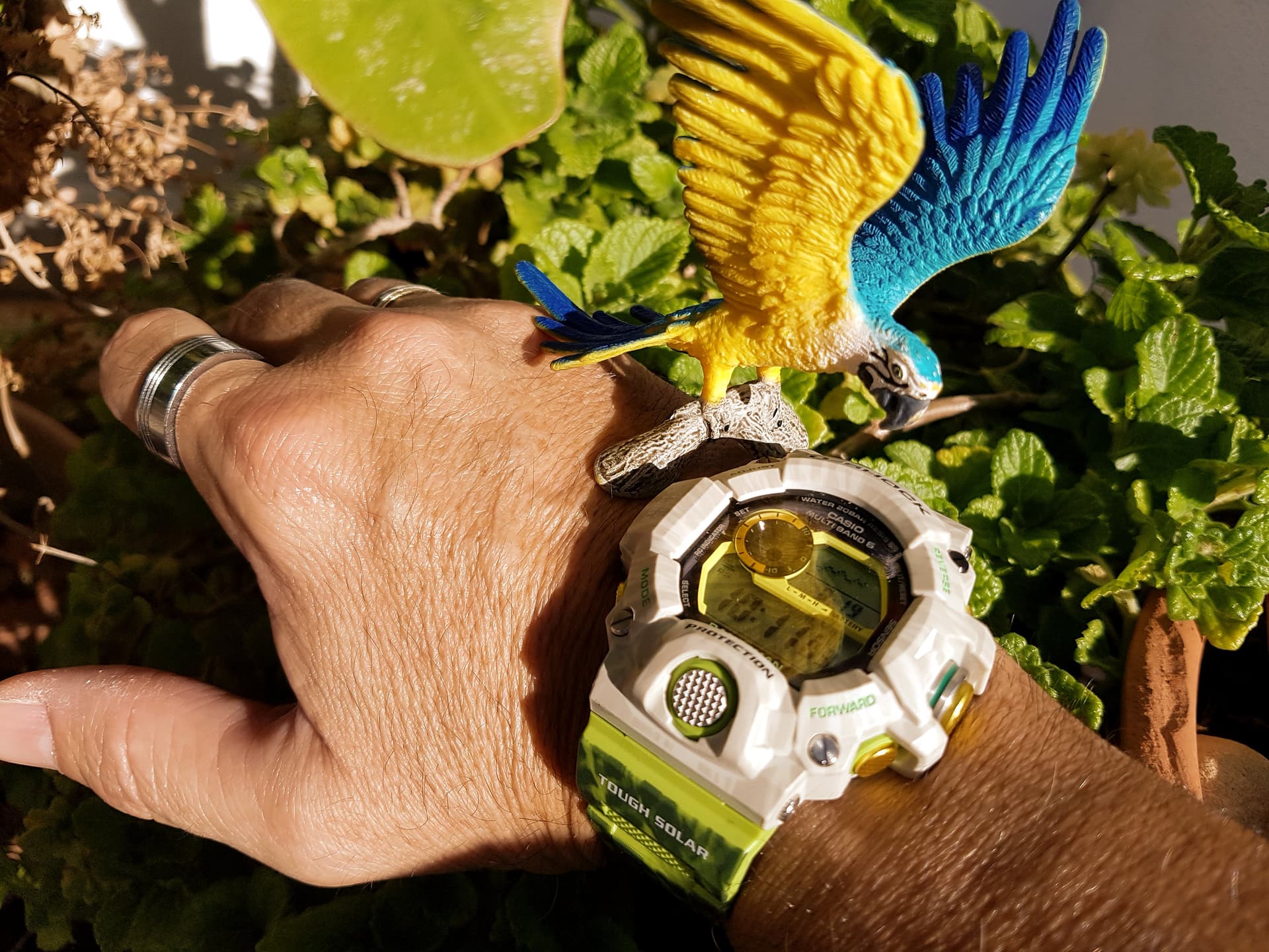 S bado 19 08 2023 Casio y vosotros Comando G Comando