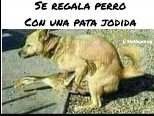 FB_IMG_1724449953365