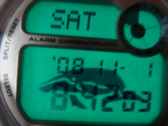 DSC03087