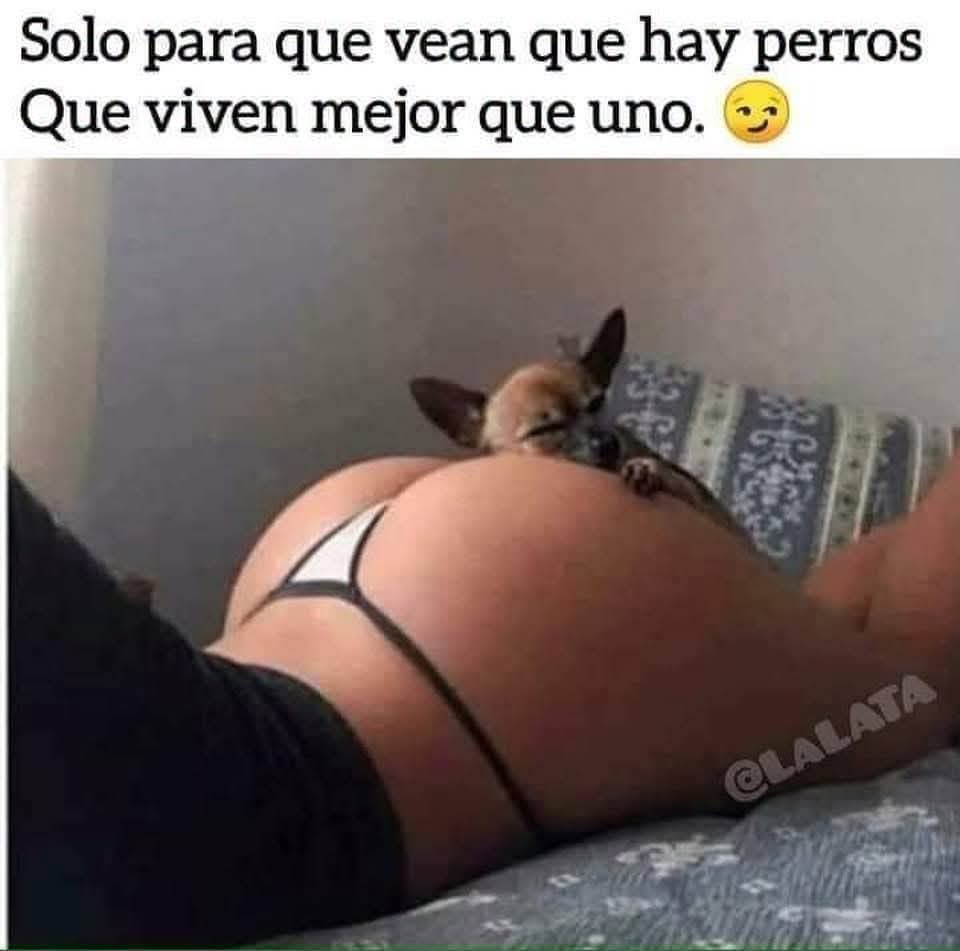 FB_IMG_1783611486144