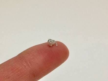 A3AD9344-3AF3-4447-8F52-8783B5764ADC_4_5005_c