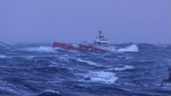 barco 8
