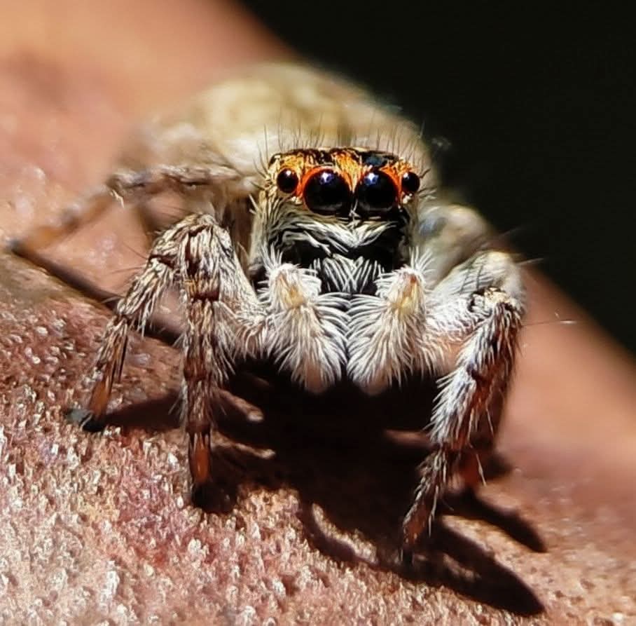 FB_IMG_1769335831429