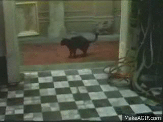 1000015790