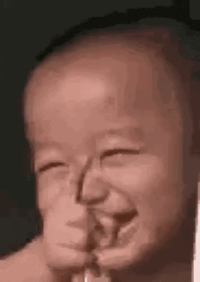 1000040069