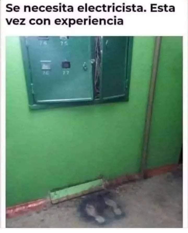 FB_IMG_1735300901271