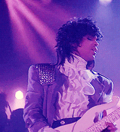 giphy (1)