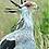 Pajaro_secretario